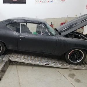 Meet your Posher, Chris